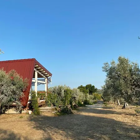度假居 La Casa Tra Gli Ulivi - In Legno *
