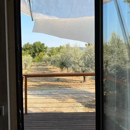 La Casa Tra Gli Ulivi - In Legno 度假居
