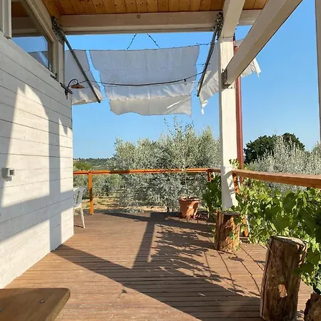 度假居 La Casa Tra Gli Ulivi - In Legno *