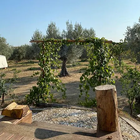 La Casa Tra Gli Ulivi - In Legno 度假居 Pollutri