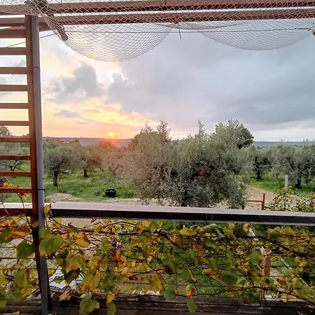 La Casa Tra Gli Ulivi - In Legno Tatil Evi