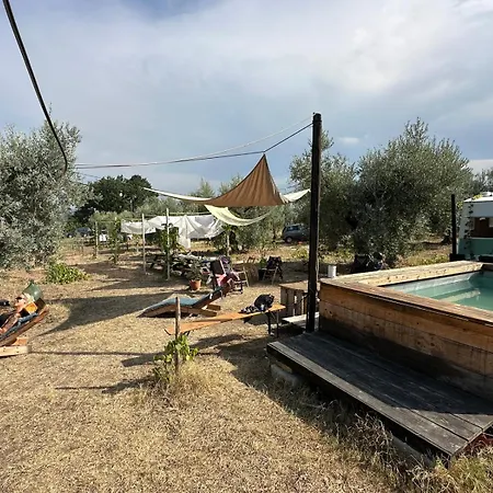 La Casa Tra Gli Ulivi - In Legno