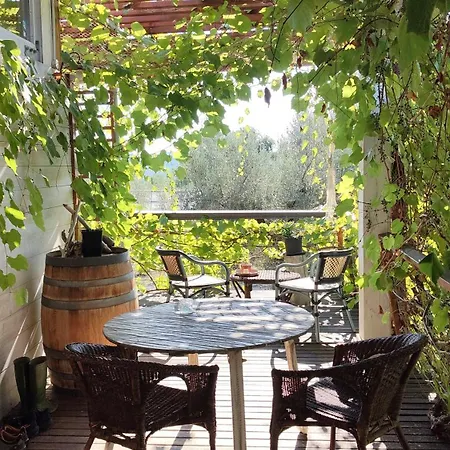 La Casa Tra Gli Ulivi - In Legno Pollutri