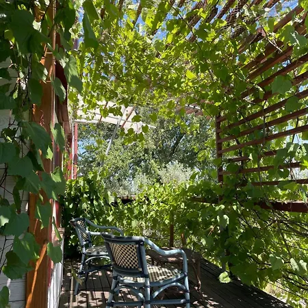 La Casa Tra Gli Ulivi - In Legno Pollutri