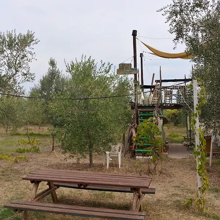 La Casa Tra Gli Ulivi - In Legno * Pollutri