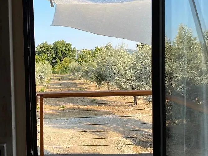 La Casa Tra Gli Ulivi - In Legno Tatil Evi