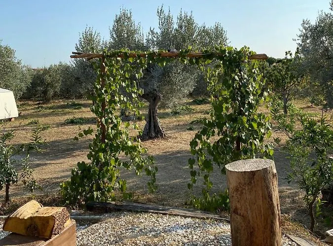 La Casa Tra Gli Ulivi - In Legno Casa de Férias Pollutri