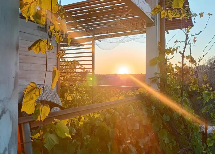 La Casa Tra Gli Ulivi - In Legno *