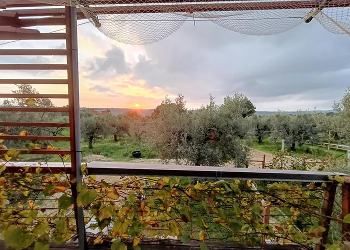 La Casa Tra Gli Ulivi - In Legno Casa de Férias