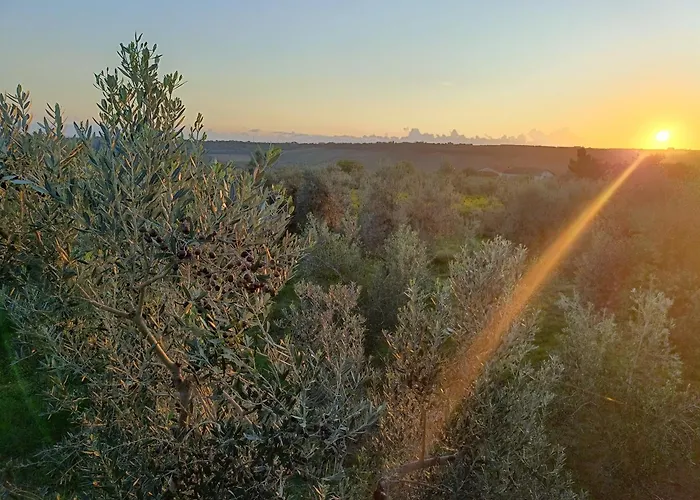 La Casa Tra Gli Ulivi - In Legno Pollutri